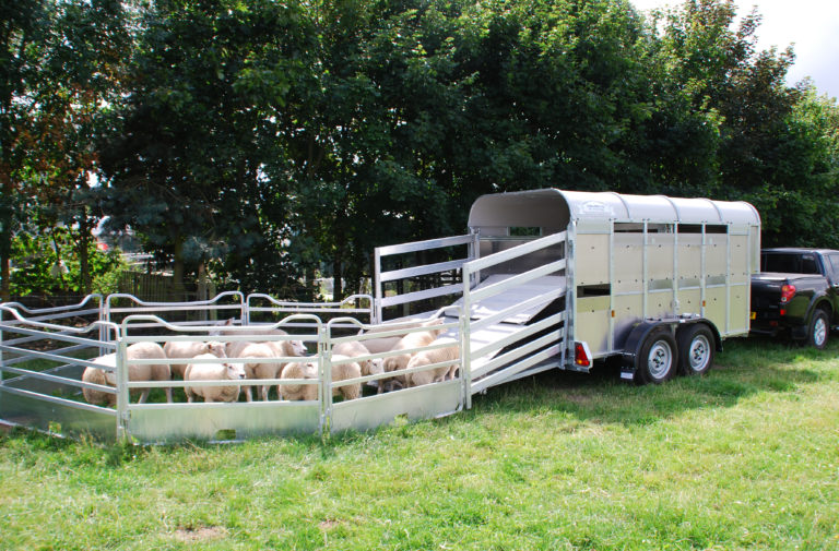Livestock Trailers 5ft 8in Graham Edwards Trailers