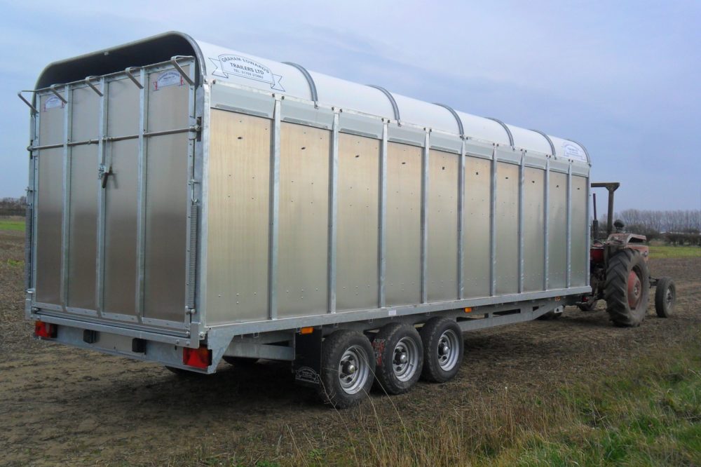 TDL Rear View